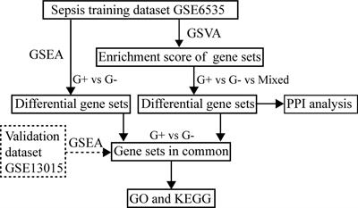 Differential Gene Sets Profiling in Gram-Negative and Gram-Positive Sepsis